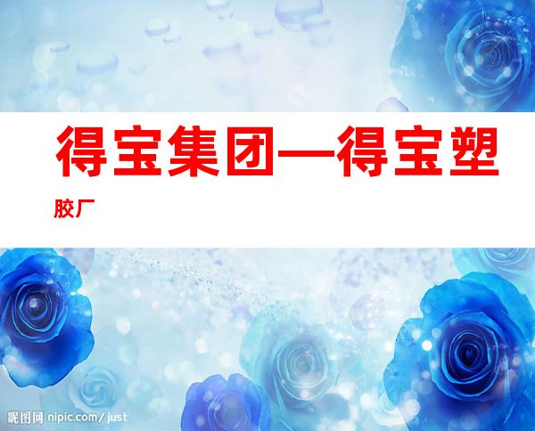 得宝集团—得宝塑胶厂